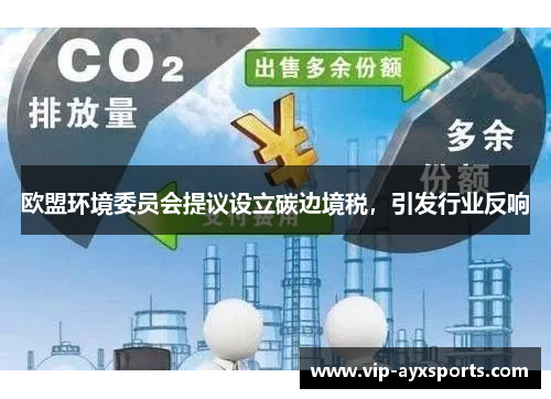 欧盟环境委员会提议设立碳边境税，引发行业反响