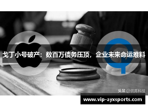 戈丁小号破产：数百万债务压顶，企业未来命运难料